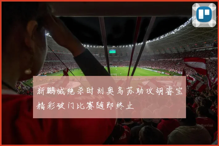 新鹏城绝杀时刻奥乌苏助攻胡睿宝精彩破门比赛随即终止